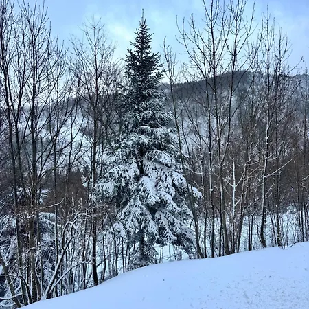 Cozy Mountain With Cimone View Faidello